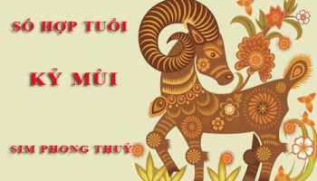 Tuoi-Ky-Mui-hop-voi-so-nao-theo-phong-thuy-chon-sim-phong-thuy-4628