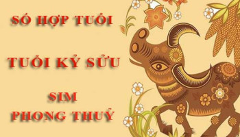 Tuoi-Ky-Suu-hop-voi-so-nao-theo-phong-thuy-chon-sim-phong-thuy-4754