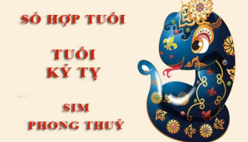 Tuoi-Ky-Ty-hop-voi-so-nao-theo-phong-thuy-chon-sim-phong-thuy-4603