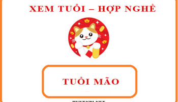 Tuoi-Mao-hop-voi-nghe-gi-va-huong-nao-theo-phong-thuy-4168