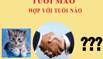 Tuoi-Mao-hop-voi-tuoi-nao-2199