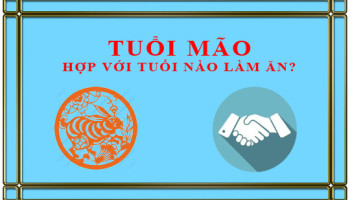 Tuoi-Mao-ket-hop-lam-an-voi-tuoi-nao-de-thanh-cong-2260