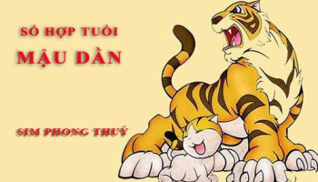 Tuoi-Mau-Dan-hop-voi-so-nao-theo-phong-thuy-chon-sim-phong-thuy-4589