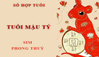 Tuoi-Mau-Ty-hop-voi-so-nao-theo-phong-thuy-chon-sim-phong-thuy-4744