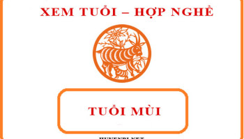 Tuoi-Mui-hop-voi-nghe-gi-va-huong-nao-theo-phong-thuy-4195