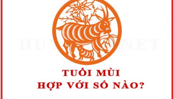 Tuoi-Mui-hop-voi-so-nao-theo-phong-thuy-4620