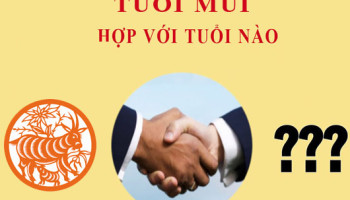 Tuoi-Mui-hop-voi-tuoi-nao-2280
