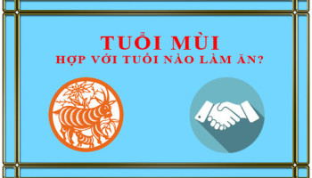 Tuoi-Mui-ket-hop-lam-an-voi-tuoi-nao-de-thanh-cong-2326