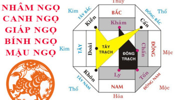 Tuoi-Ngo-hop-huong-nao-3887