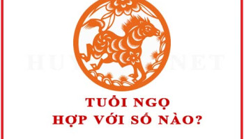 Tuoi-Ngo-hop-voi-so-nao-theo-phong-thuy-4601
