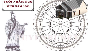 Tuoi-Nham-Ngo-hop-huong-nao-lam-nha-huong-nao-theo-phong-thuy-4609