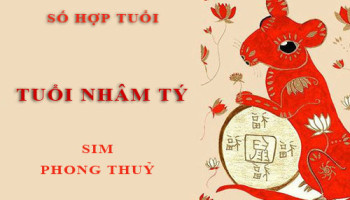 Tuoi-Nham-Ty-hop-voi-so-nao-theo-phong-thuy-chon-sim-phong-thuy-4539