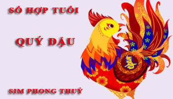 Tuoi-Quy-Dau-hop-voi-so-nao-theo-phong-thuy-chon-sim-phong-thuy-4674