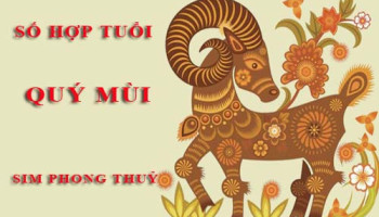 Tuoi-Quy-Mui-hop-voi-so-nao-theo-phong-thuy-chon-sim-phong-thuy-4645