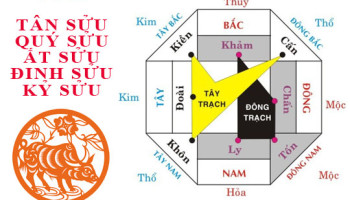 Tuoi-Suu-hop-huong-nao-3840