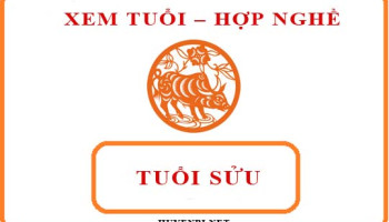 Tuoi-Suu-hop-voi-nghe-gi-va-huong-nao-theo-phong-thuy-4154