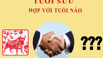 Tuoi-Suu-hop-voi-tuoi-nao-2170