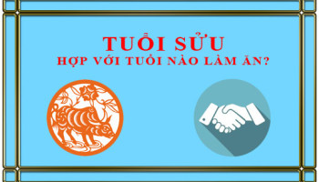 Tuoi-Suu-ket-hop-lam-an-voi-tuoi-nao-de-thanh-cong-2225
