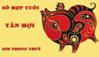Tuoi-Tan-Hoi-hop-voi-so-nao-theo-phong-thuy-chon-sim-phong-thuy-4712