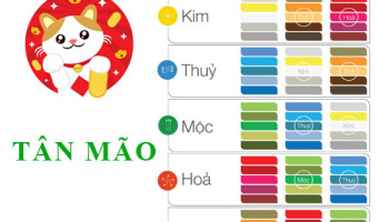 Tuoi-Tan-Mao-hop-voi-mau-gi-va-ky-mau-sac-nao-nhat--4076