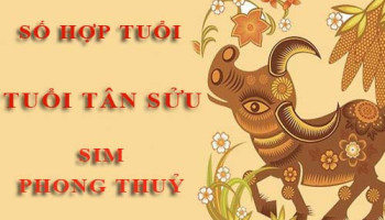Tuoi-Tan-Suu-hop-voi-so-nao-theo-phong-thuy-chon-sim-phong-thuy-4732