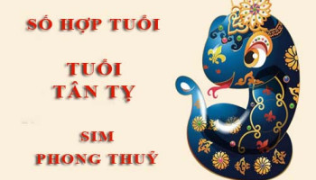 Tuoi-Tan-Ty-hop-voi-so-nao-theo-phong-thuy-chon-sim-phong-thuy-4815