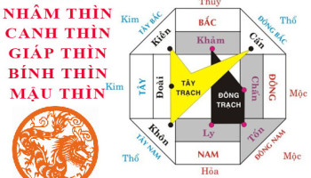 Tuoi-Thin-hop-huong-nao-3869