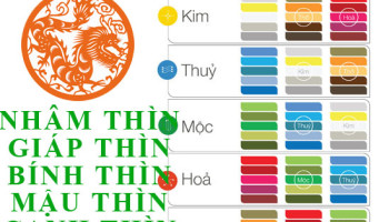 Tuoi-Thin-hop-voi-mau-gi-va-ky-mau-sac-nao-nhat-6687