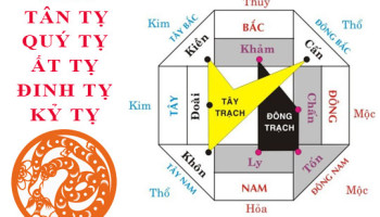 Tuoi-Ti-hop-huong-nao-3878