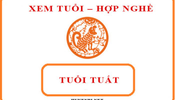 Tuoi-Tuat-hop-voi-nghe-gi-va-huong-nao-theo-phong-thuy-4217
