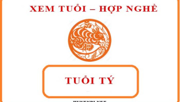 Tuoi-Ty-hop-voi-nghe-gi-va-huong-nao-theo-phong-thuy-4142