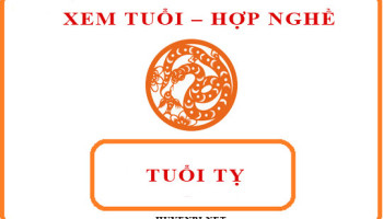 Tuoi-Ty-hop-voi-nghe-gi-va-huong-nao-theo-phong-thuy-4182