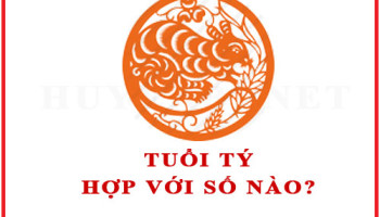 Tuoi-Ty-hop-voi-so-nao-theo-phong-thuy-4538