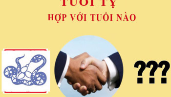 Tuoi-Ty-hop-voi-tuoi-nao-2245