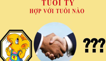 Tuoi-Ty-hop-voi-tuoi-nao-ve-hop-tac-hon-nhan-2148