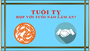 Tuoi-Ty-ket-hop-lam-an-voi-tuoi-nao-de-thanh-cong-2294