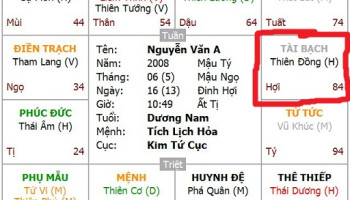 Vai-luu-y-ve-cung-tai-bach-trong-la-so-tu-vi-1746