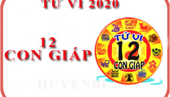Xem-tu-vi-nam-2020-cua-12-con-giap-de-xem-van-menh-va-may-man-4731