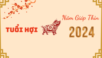 cam-nang-phong-thuy-nam-2024-cho-tuoi-hoi-304-223320