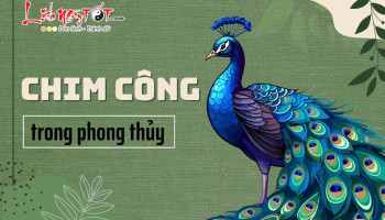 chim-cong-trong-phong-thuy-284-221797