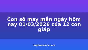 con-so-may-man-ngay-hom-nay-01032026-cua-12-con-giap