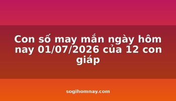 con-so-may-man-ngay-hom-nay-01072026-cua-12-con-giap