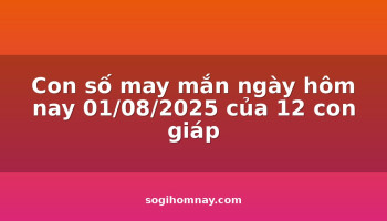 con-so-may-man-ngay-hom-nay-01082025-cua-12-con-giap