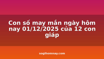 con-so-may-man-ngay-hom-nay-01122025-cua-12-con-giap