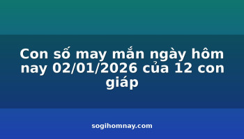 con-so-may-man-ngay-hom-nay-02012026-cua-12-con-giap