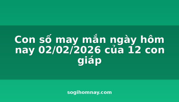 con-so-may-man-ngay-hom-nay-02022026-cua-12-con-giap
