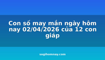con-so-may-man-ngay-hom-nay-02042026-cua-12-con-giap