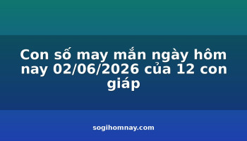 con-so-may-man-ngay-hom-nay-02062026-cua-12-con-giap