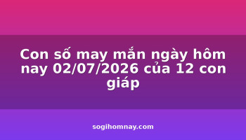 con-so-may-man-ngay-hom-nay-02072026-cua-12-con-giap
