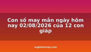 con-so-may-man-ngay-hom-nay-02082026-cua-12-con-giap